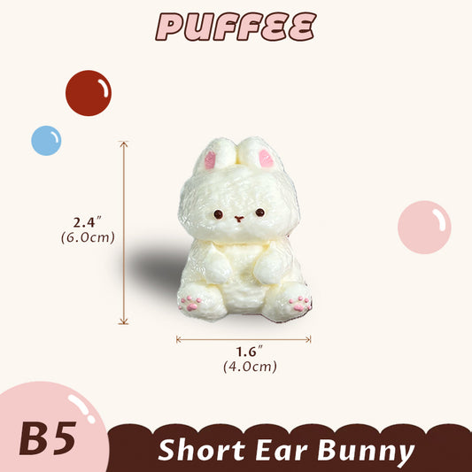 Short Ear Bunny Squishy Toy [B5]